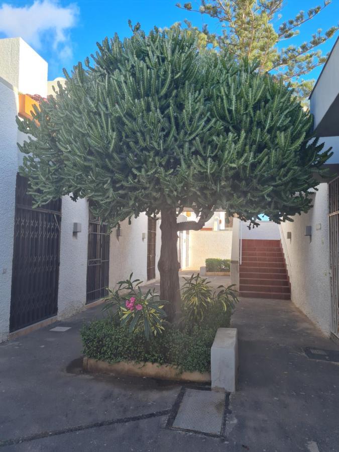 Primavera Apartment Olga With Free Wifi Arona  Ngoại thất bức ảnh